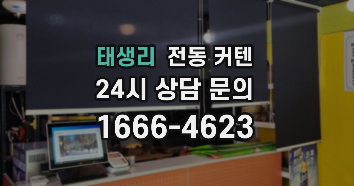 태생리 전동 커텐