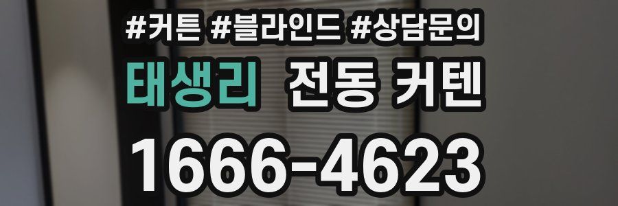 태생리 전동 커텐
