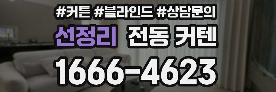 선정리 전동 커텐