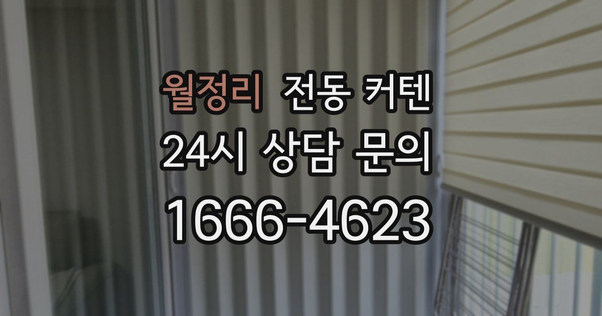 월정리 전동 커텐