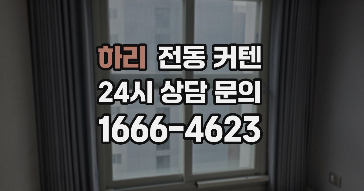 하리 전동 커텐