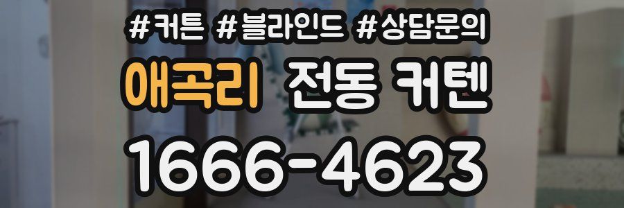 애곡리 전동 커텐