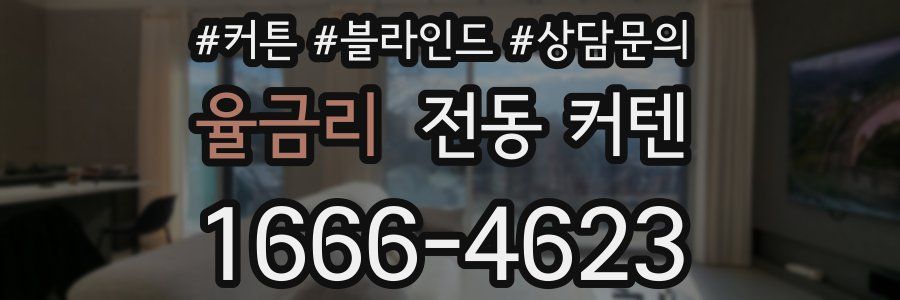 율금리 전동 커텐