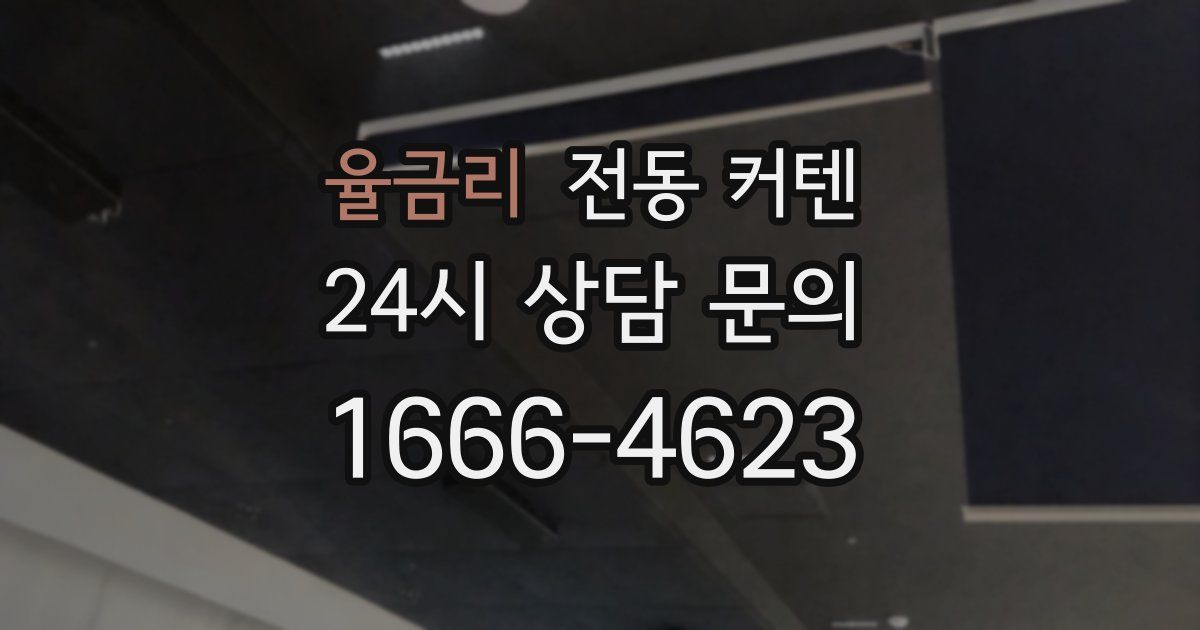 율금리 전동 커텐