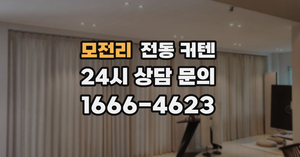 모전리 전동 커텐