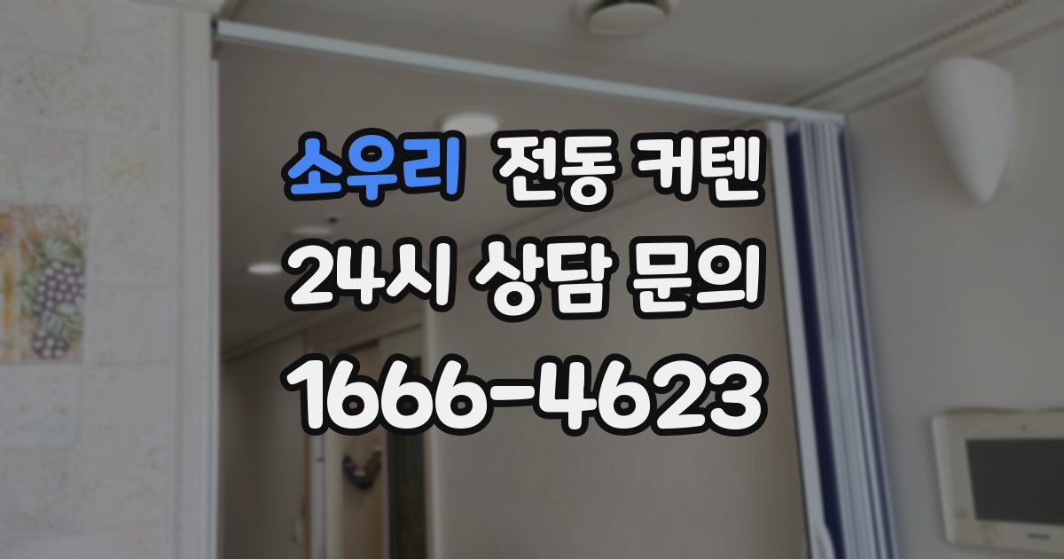 소우리 전동 커텐