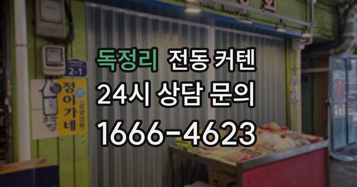 독정리 전동 커텐