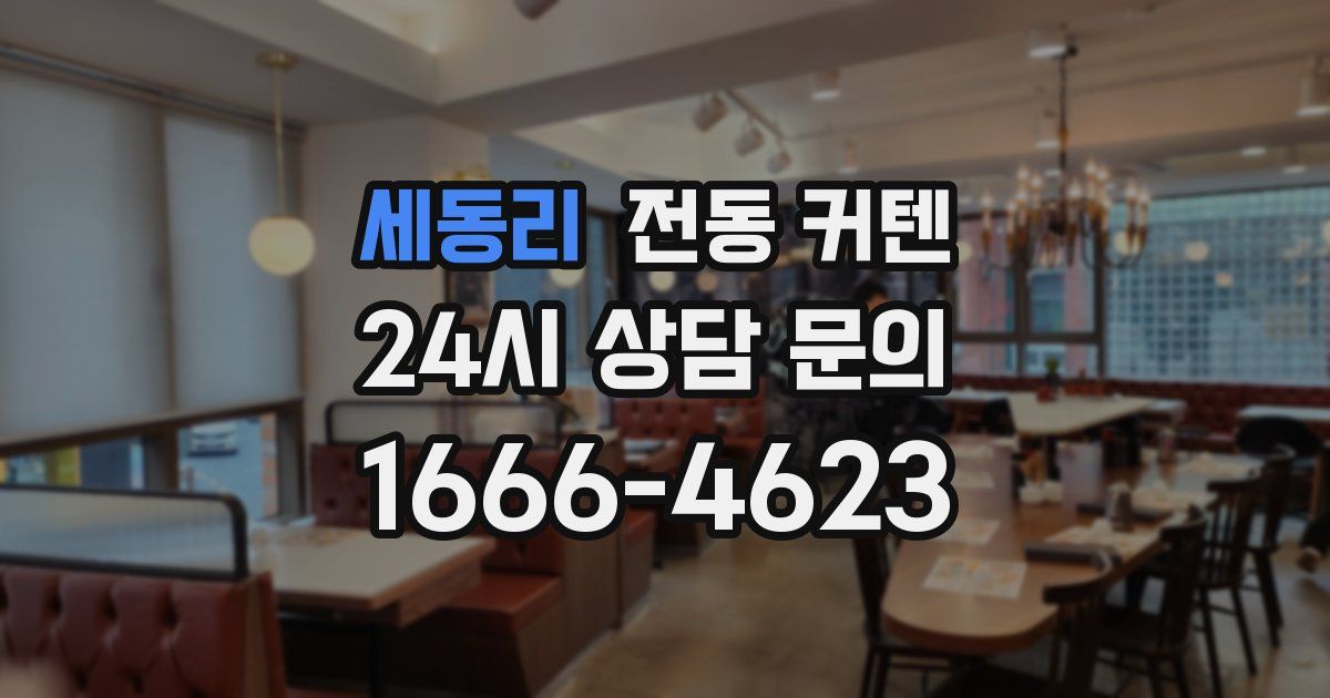 세동리 전동 커텐
