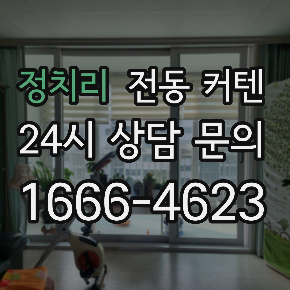 정치리 전동 커텐
