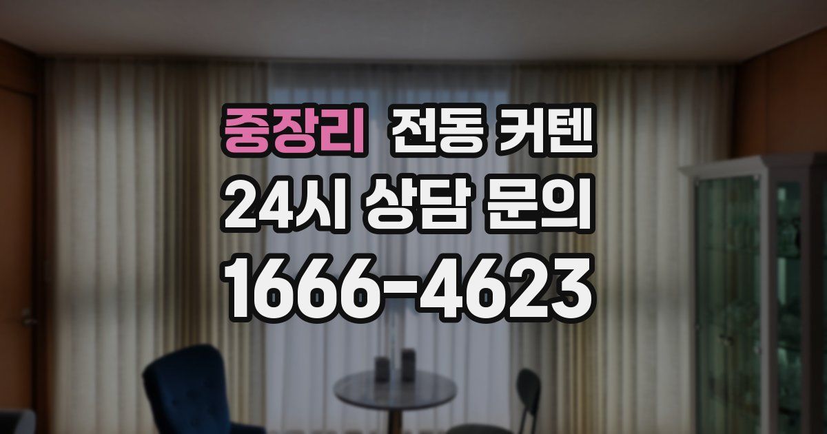 중장리 전동 커텐