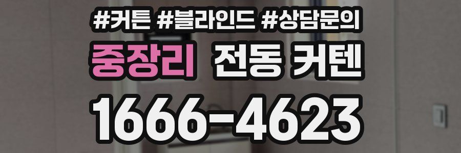 중장리 전동 커텐