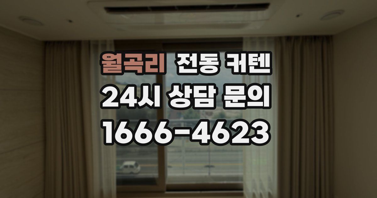 월곡리 전동 커텐