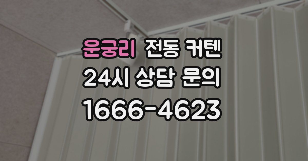 운궁리 전동 커텐