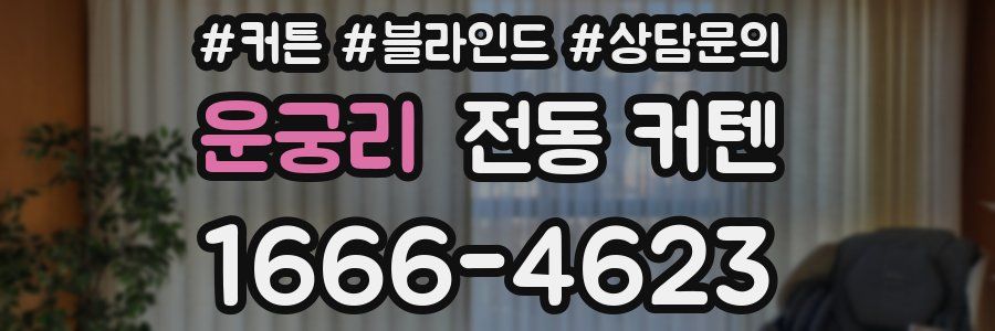 운궁리 전동 커텐