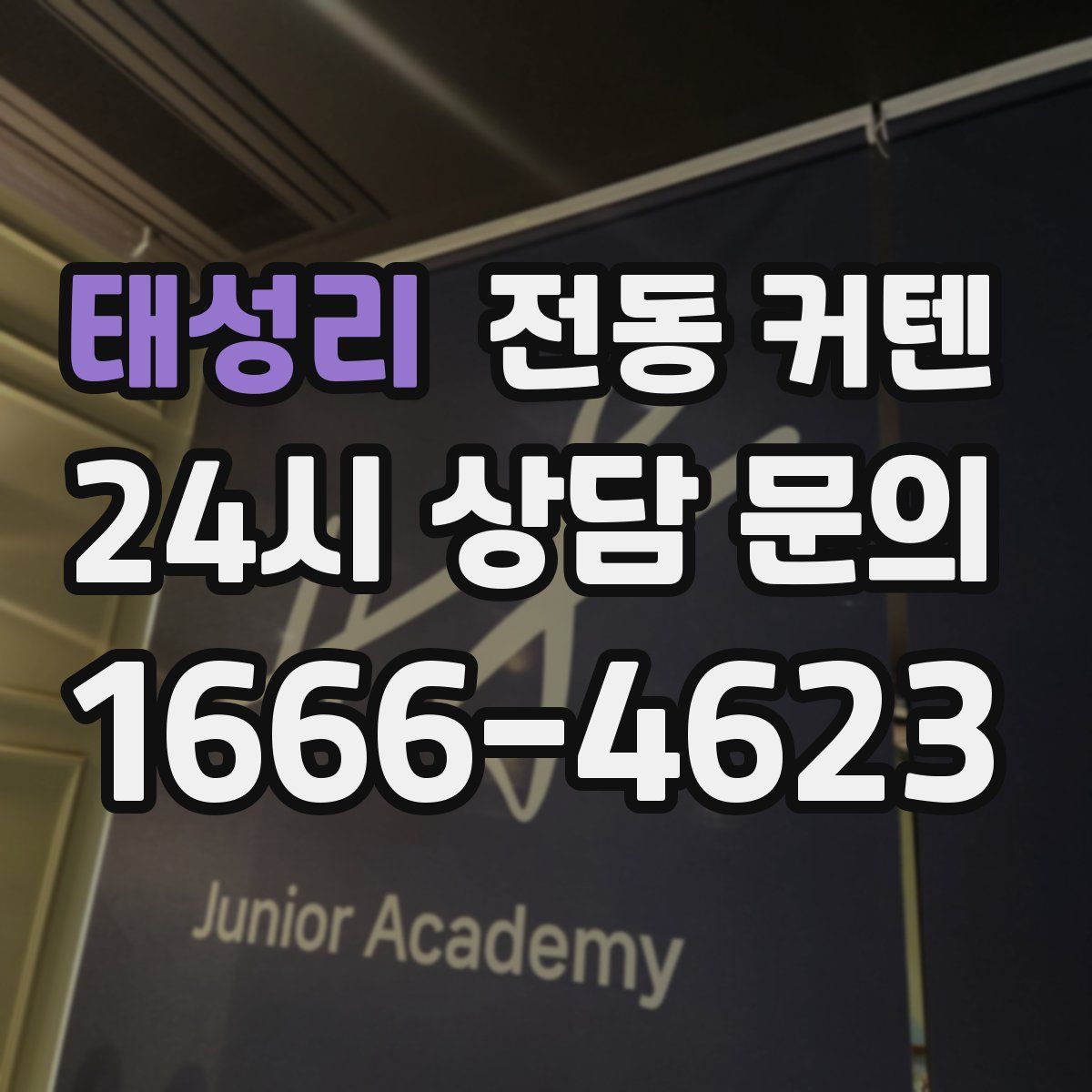 태성리 전동 커텐