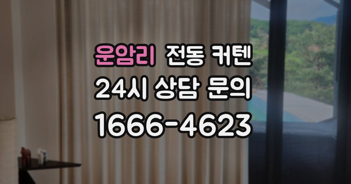 운암리 전동 커텐