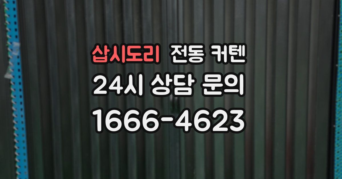 삽시도리 전동 커텐