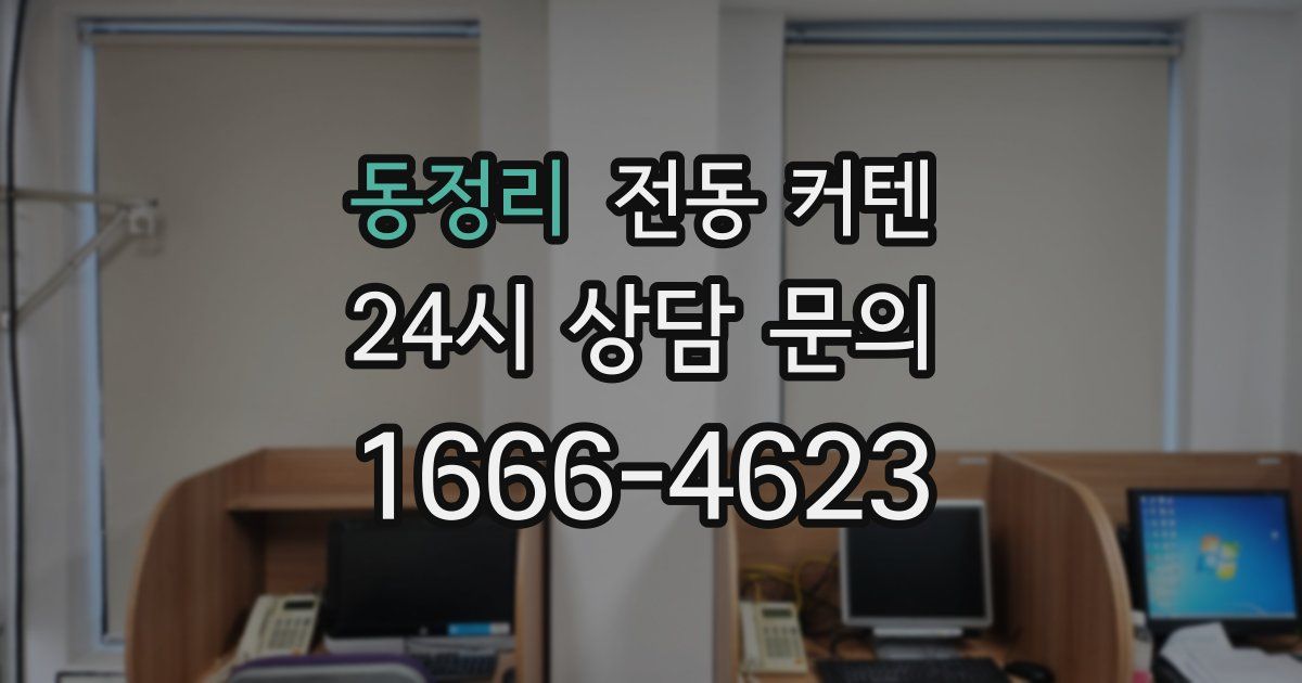 동정리 전동 커텐