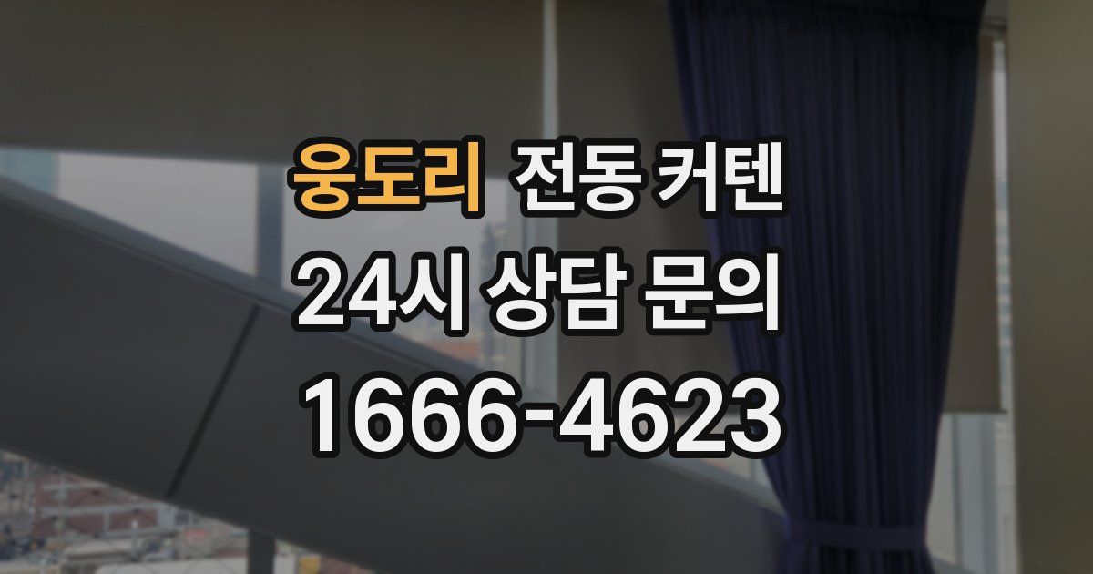 웅도리 전동 커텐