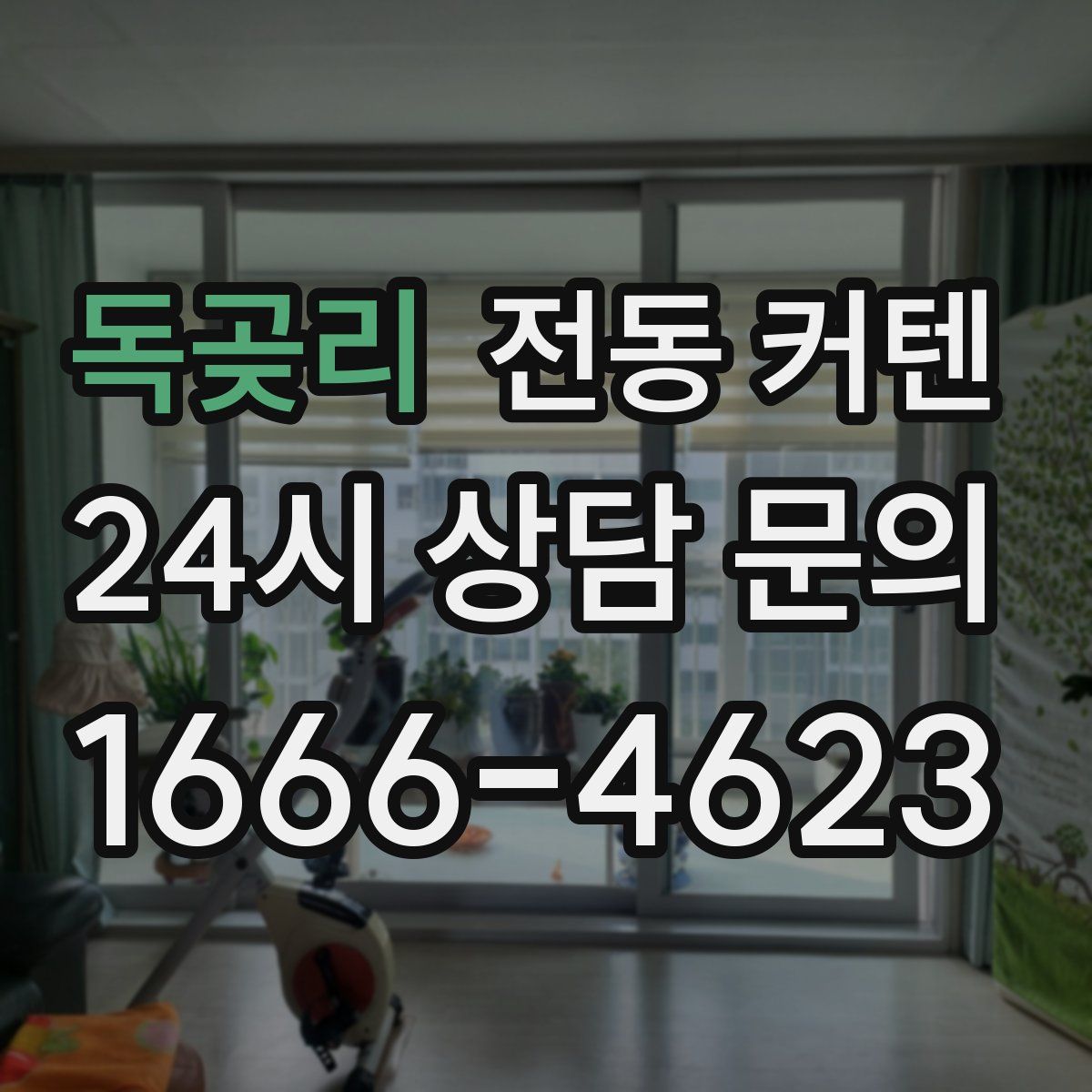 독곶리 전동 커텐