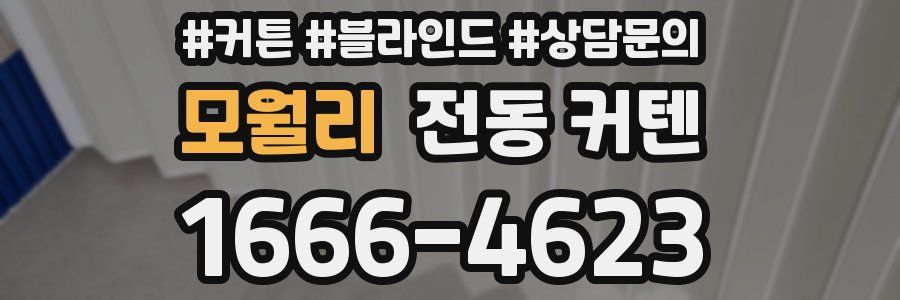 모월리 전동 커텐