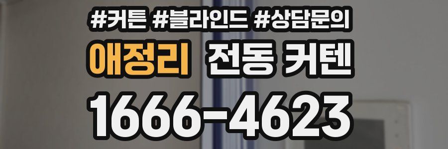 애정리 전동 커텐