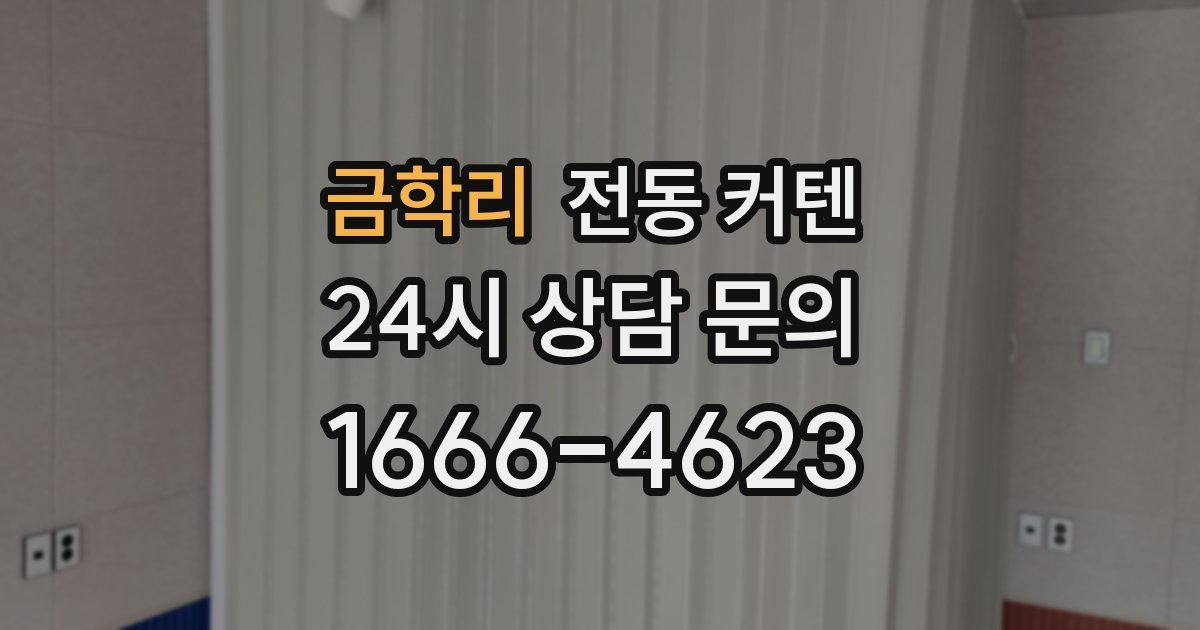 금학리 전동 커텐