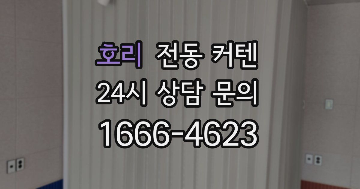 호리 전동 커텐