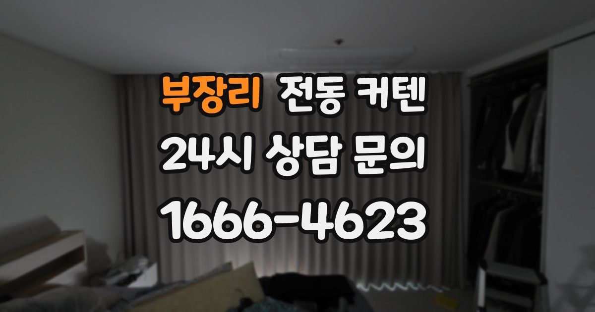 부장리 전동 커텐