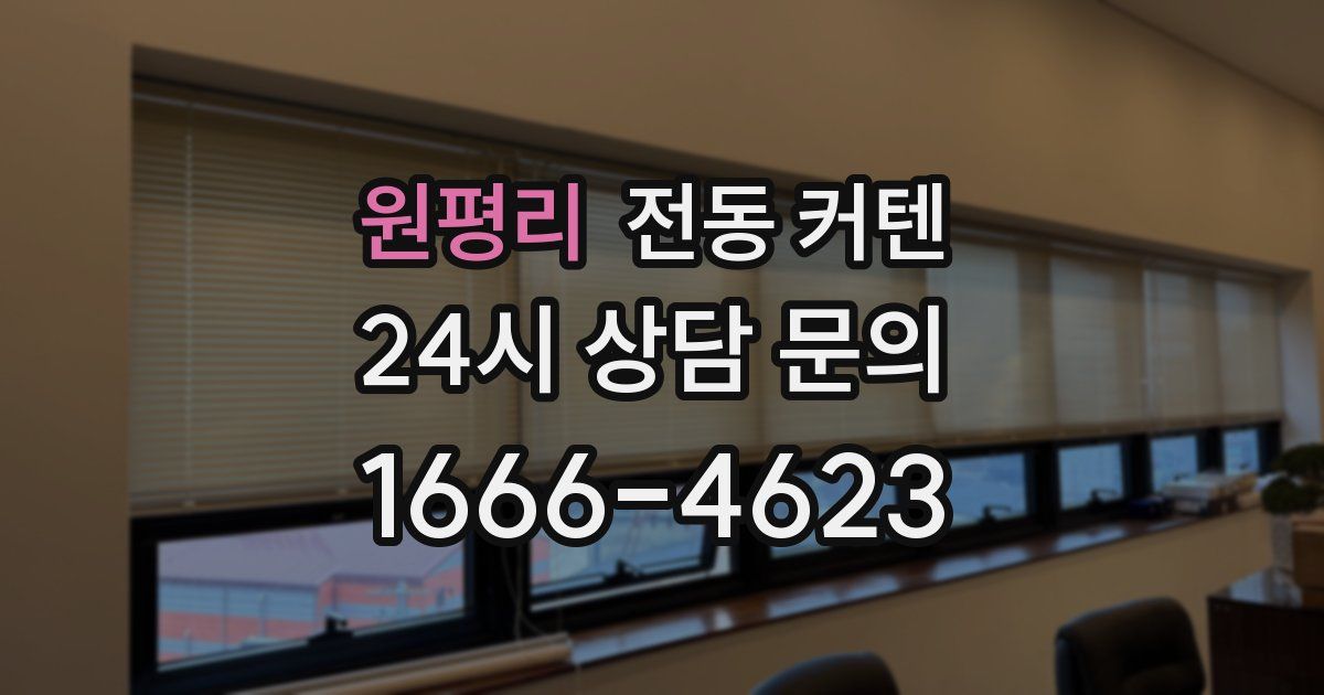 원평리 전동 커텐