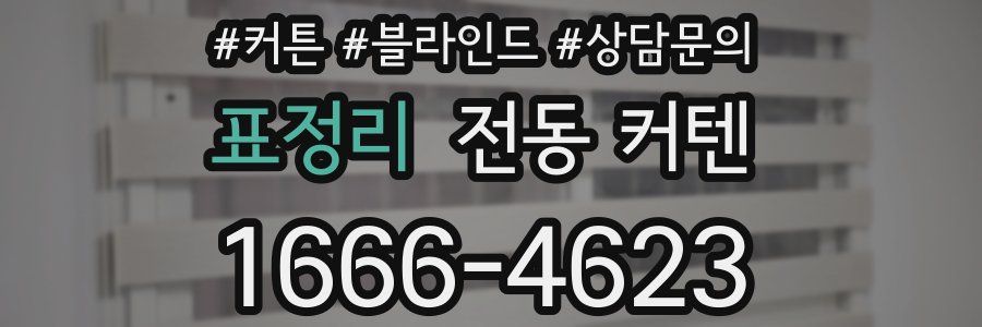 표정리 전동 커텐