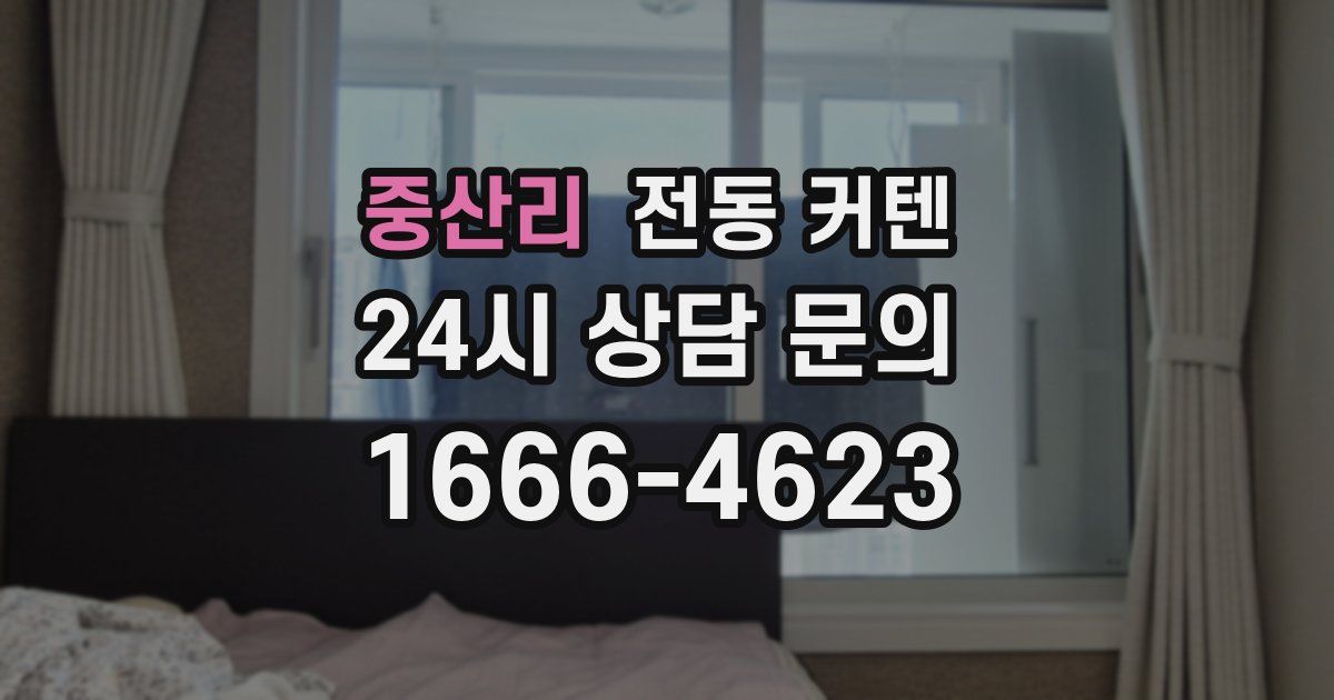 중산리 전동 커텐