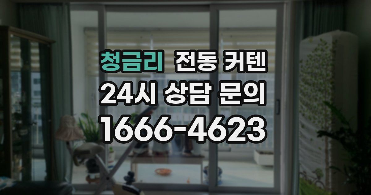 청금리 전동 커텐