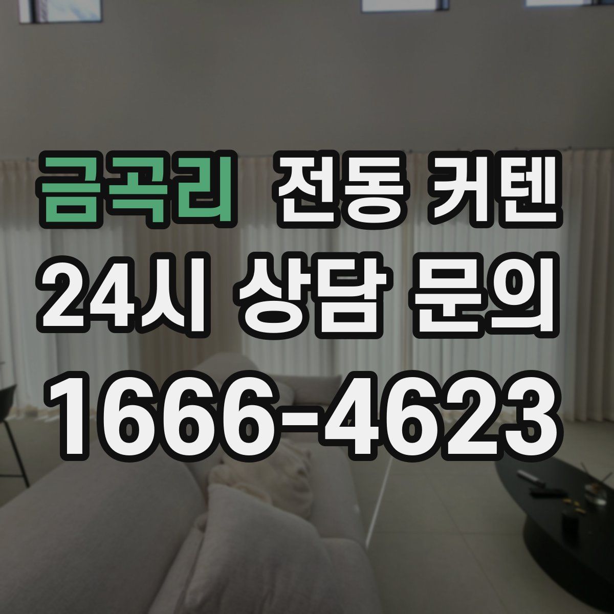 금곡리 전동 커텐