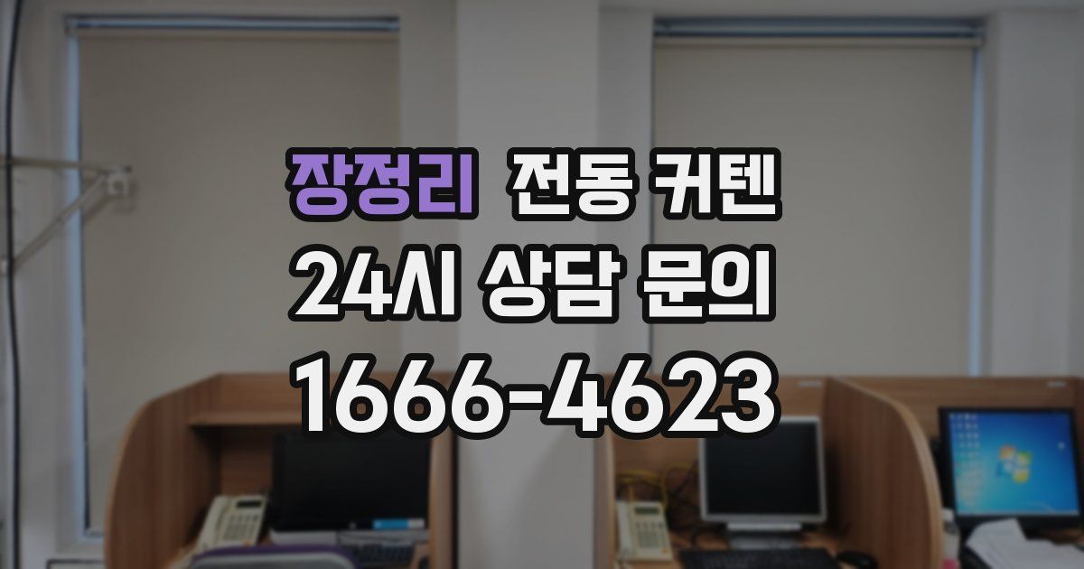 장정리 전동 커텐