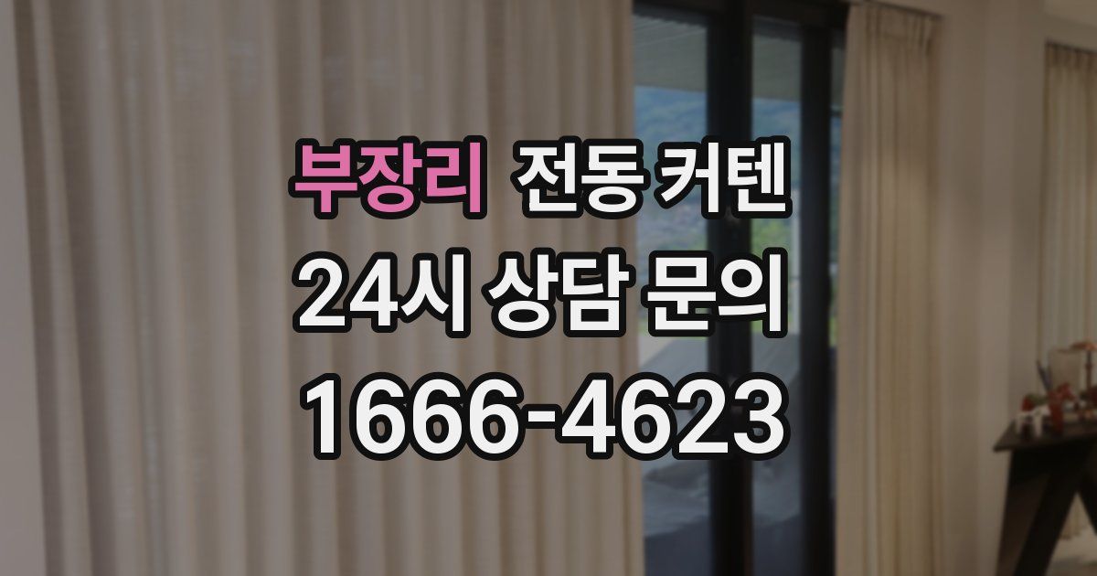 부장리 전동 커텐