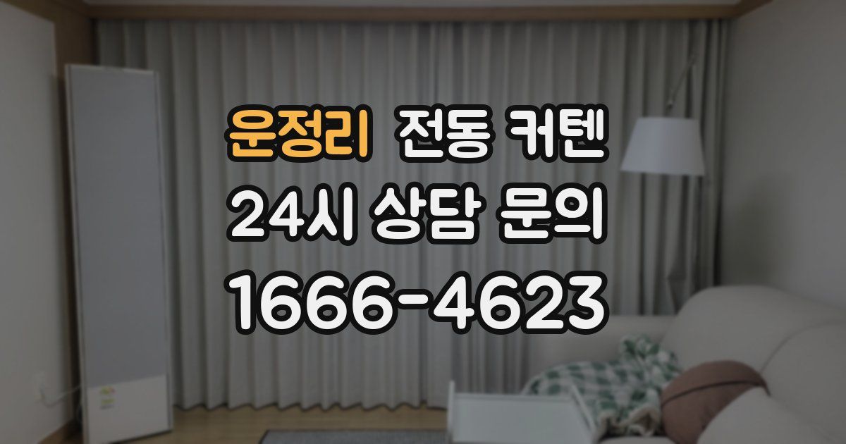 운정리 전동 커텐