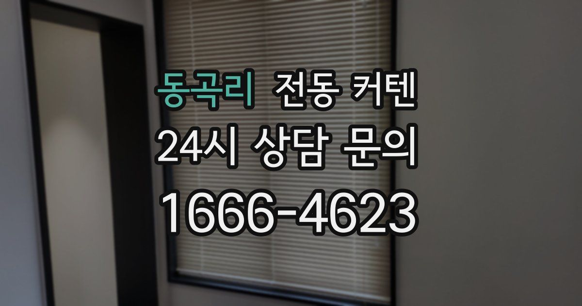 동곡리 전동 커텐