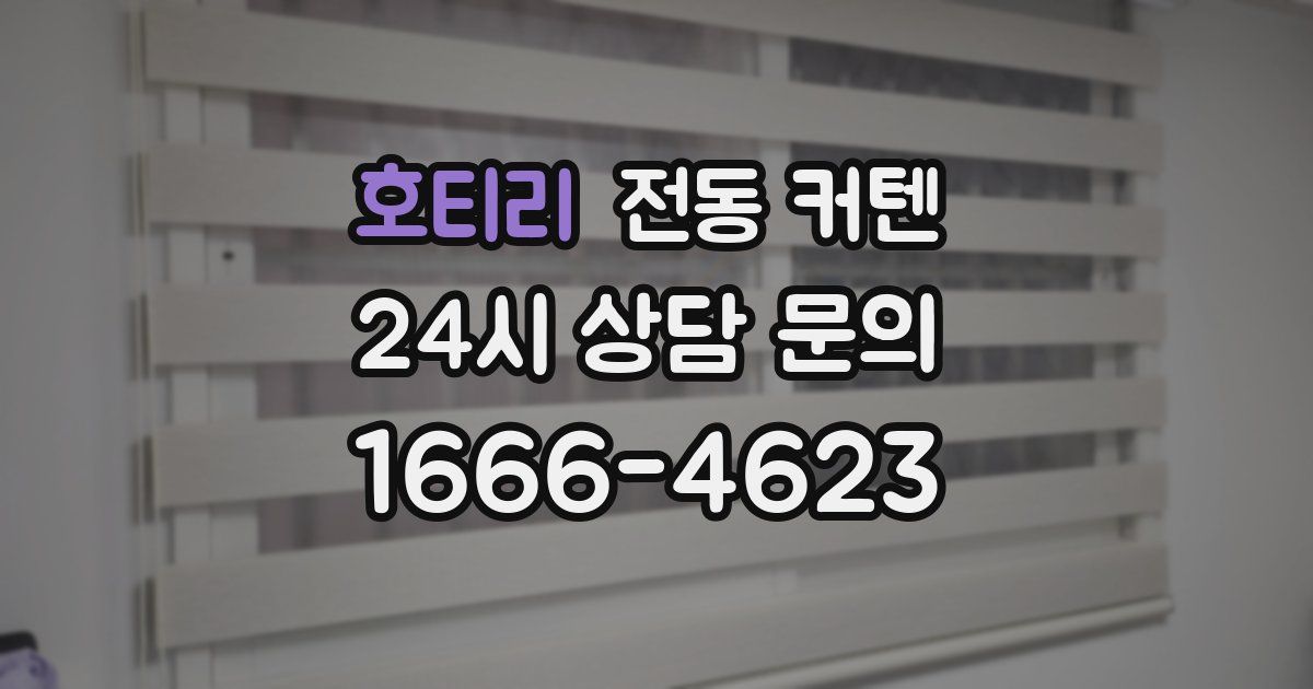 호티리 전동 커텐