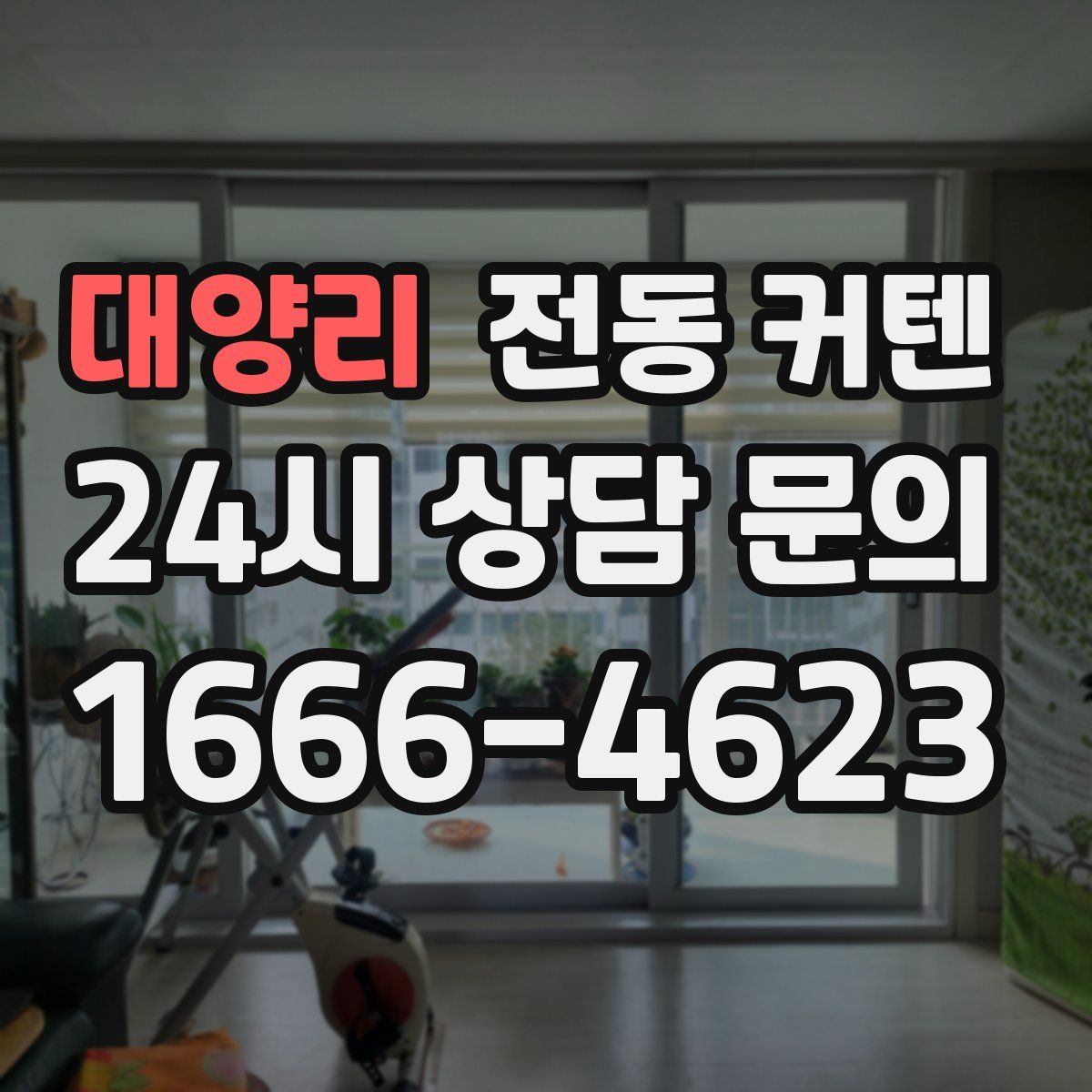 대양리 전동 커텐