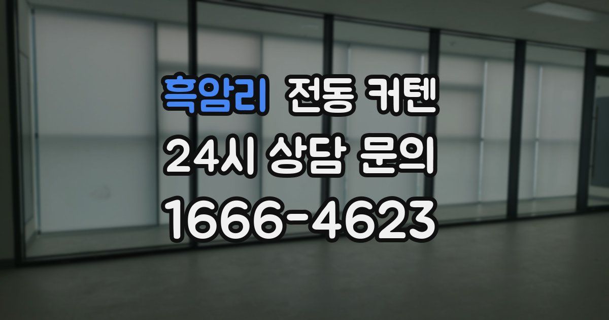 흑암리 전동 커텐