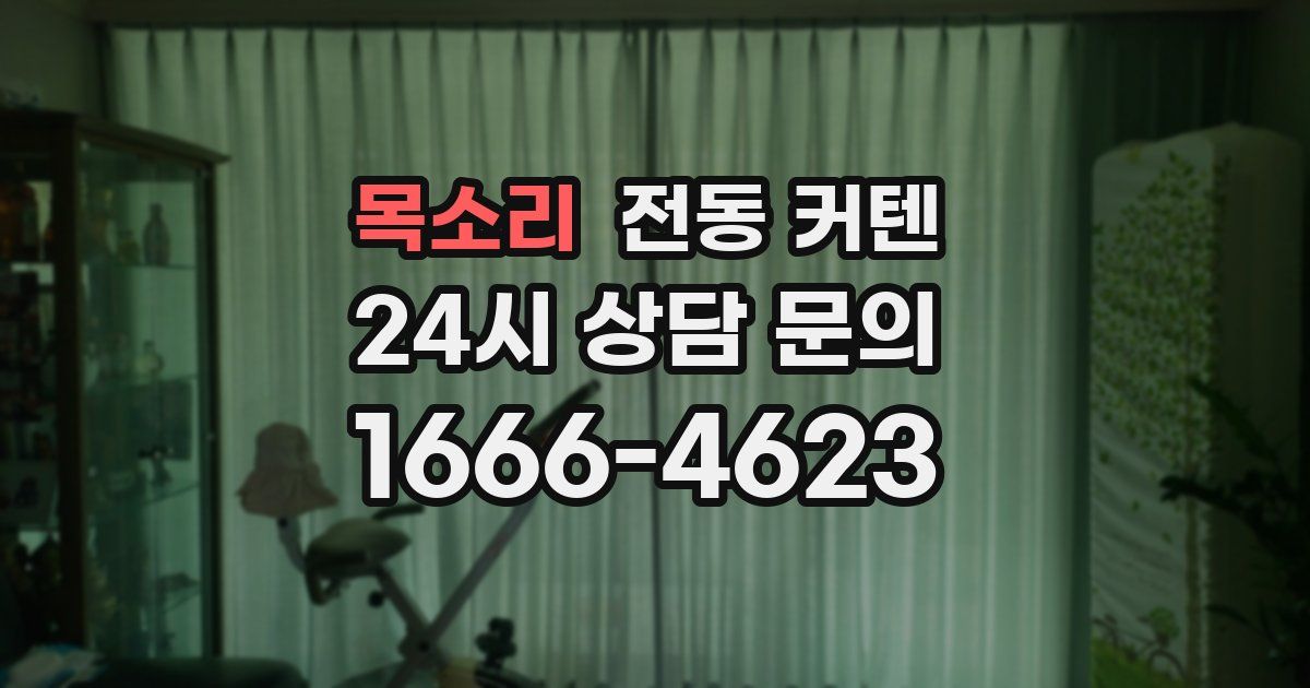 목소리 전동 커텐