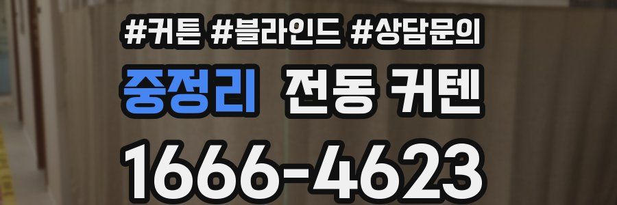 중정리 전동 커텐