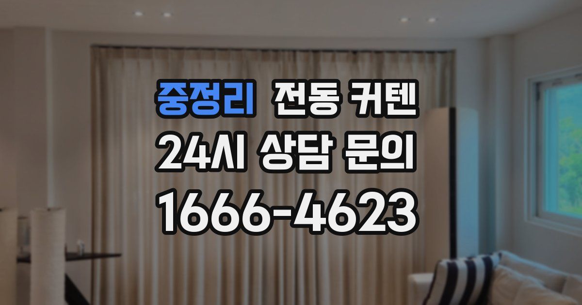 중정리 전동 커텐