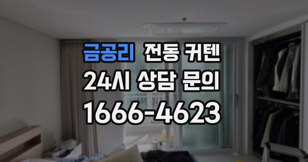금공리 전동 커텐