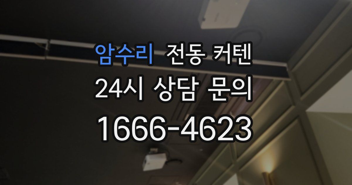 암수리 전동 커텐