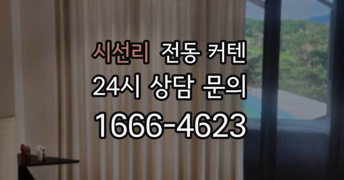 시선리 전동 커텐