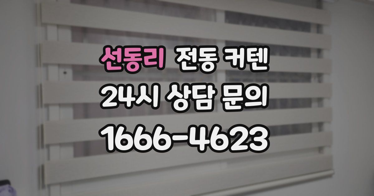 선동리 전동 커텐