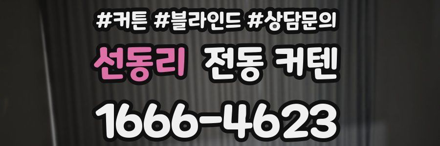 선동리 전동 커텐