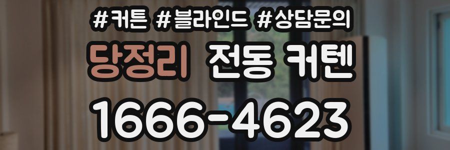 당정리 전동 커텐